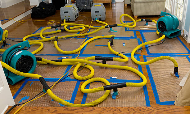 Professional Basement Flood Cleanup technician working in Lemont, PA